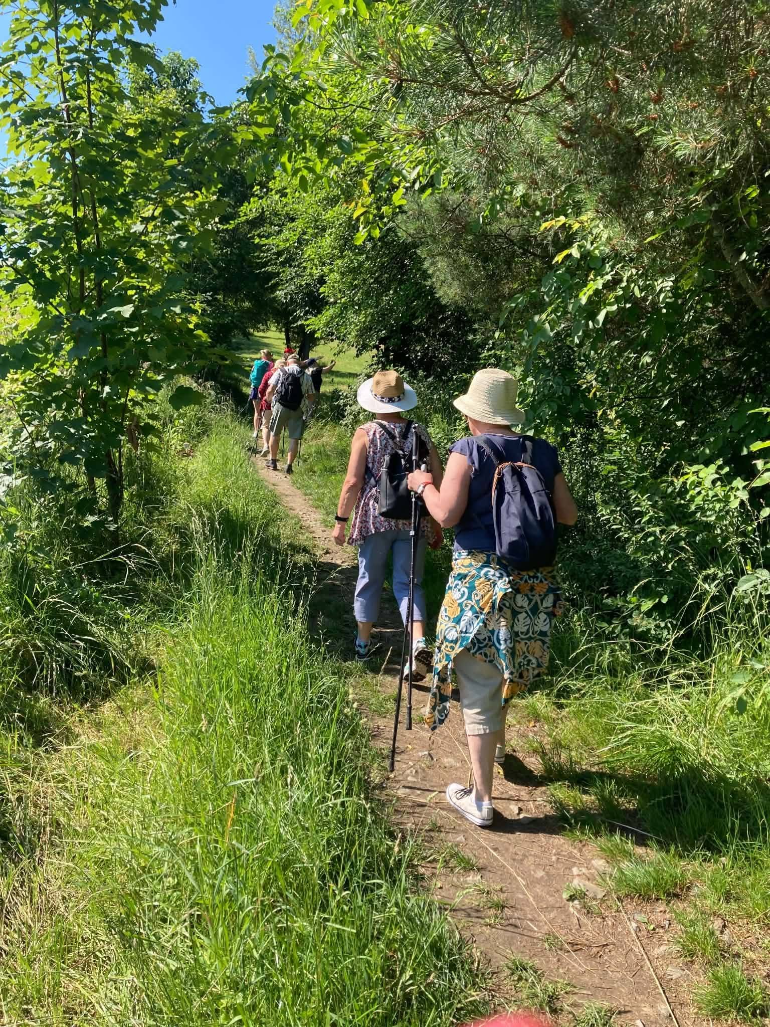 Krok po kroku po zdrowie – Rajd Nordic Walking Seniorów!